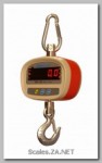 SHS Crane scales for sale