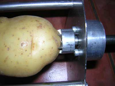 Photo: Potato in position